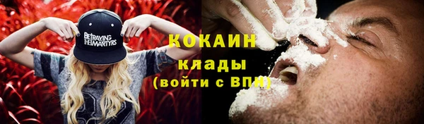 гидра Волосово