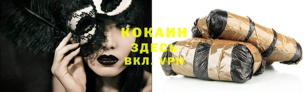 сатива Волоколамск