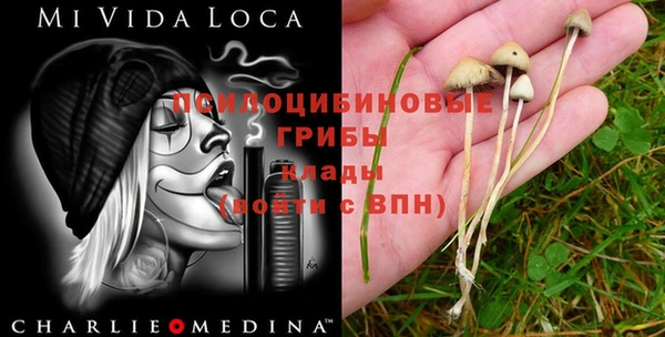 гидра Волосово