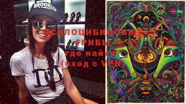 PSILOCYBIN Сафоново