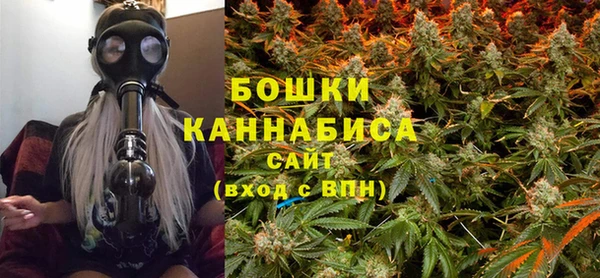 сатива Волоколамск