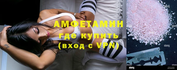 сатива Волоколамск