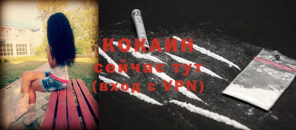 сатива Волоколамск