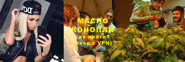 сатива Волоколамск